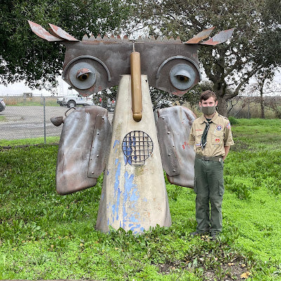 An Owl Sculpture, a Burrowing Owl Coloring Page, and Two Wildlife Rescues