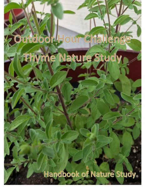 Brand New! Outdoor Hour Challenge: Thyme Herb Nature Study