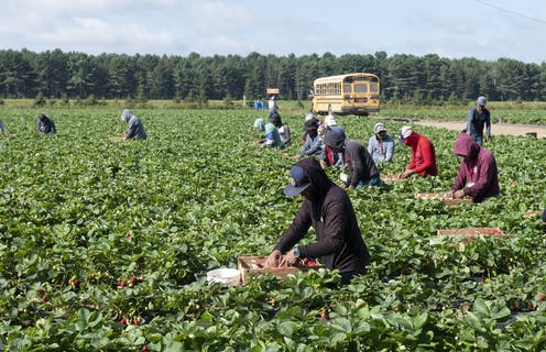 For migrant farm workers, housing is not just a determinant of health, but a determinant of death