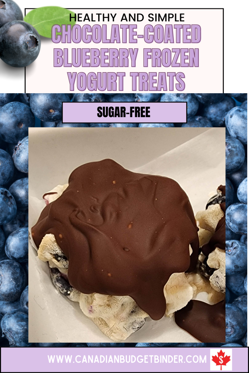 Chocolate-Coated Blueberry Frozen Yogurt Treats