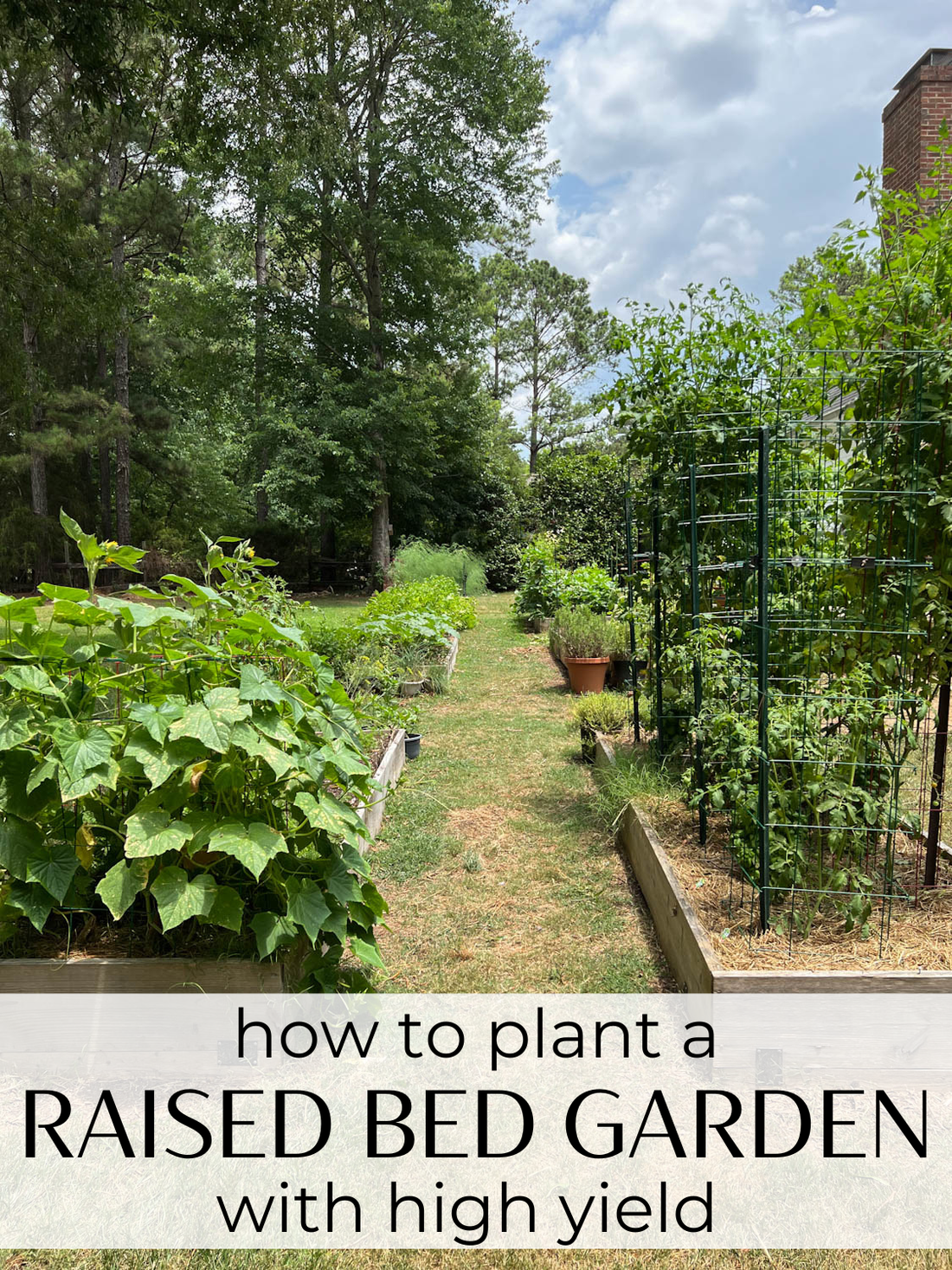 How to Plant a Raised Bed Vegetable Garden with High Yield