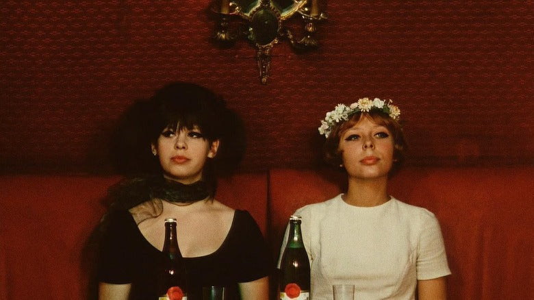 The Daily Stream: Daisies Is A Subversive Classic That Still Feels Modern
