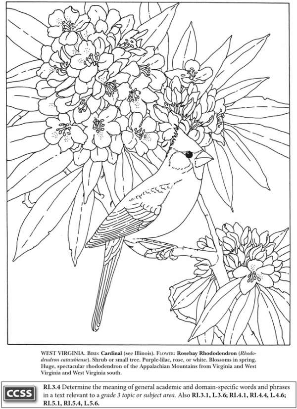 4 State Bird Coloring Pages