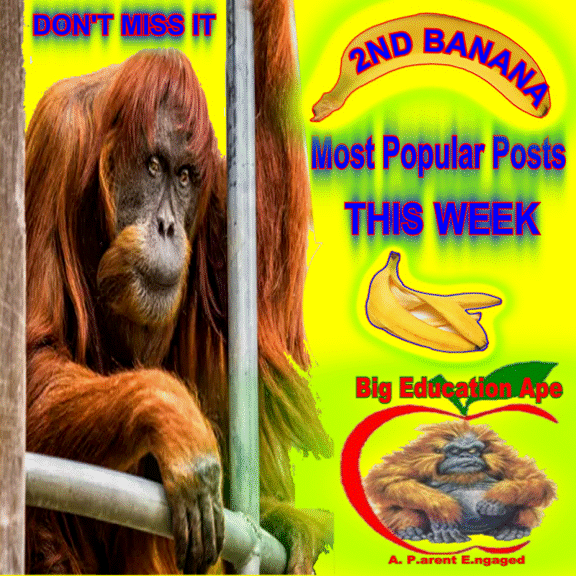 TOP POSTS THIS WEEK 6/27/20 #REDFORED #tbats