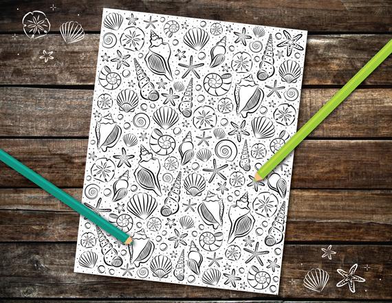 Seashell Coloring Pages
