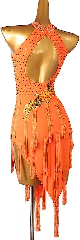 Ladies Latin Tango Rumba Cha Cha Dance Belly Dance Dress Fringe Skirt