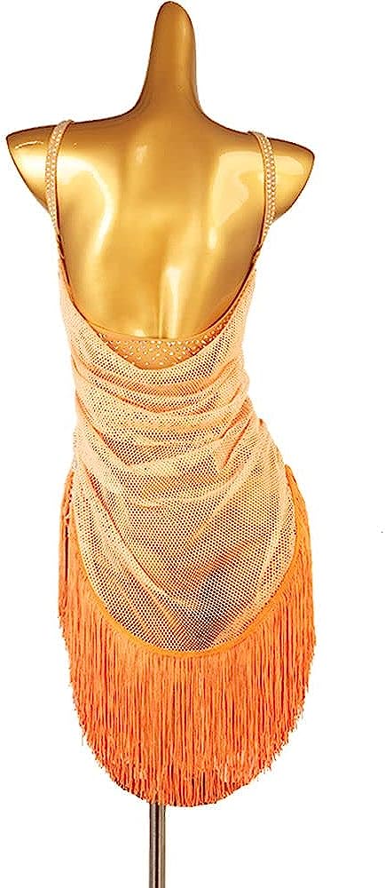 Latin Dance Skirt Mesh Big Backless Sleeveless Fringed Skirt Competition Performance