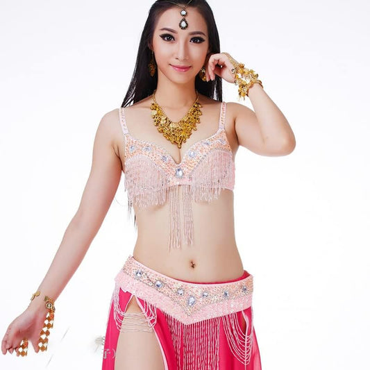 Women's Belly Dance Costumes Bras Belts Skirts 3 Piece Sets Sexy Belly Dance Dresses Carnival Costumes Dance Costumes