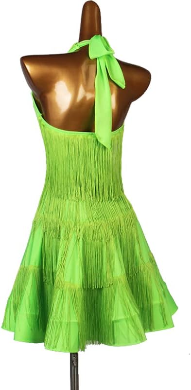 Fringe Latin Training Dresses Cha Cha Practice Dancing Outfit Salsa Skirt Women's Waltz Ballroom Performance Costumes