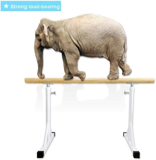 Ballet Barre Bar,Double Ballet Bar,Portable Fitness Gymnastics Stretching Barre,Floor Type Home Dance Bracket,Adjustable (Size : 1.5M) (Pink 1M)