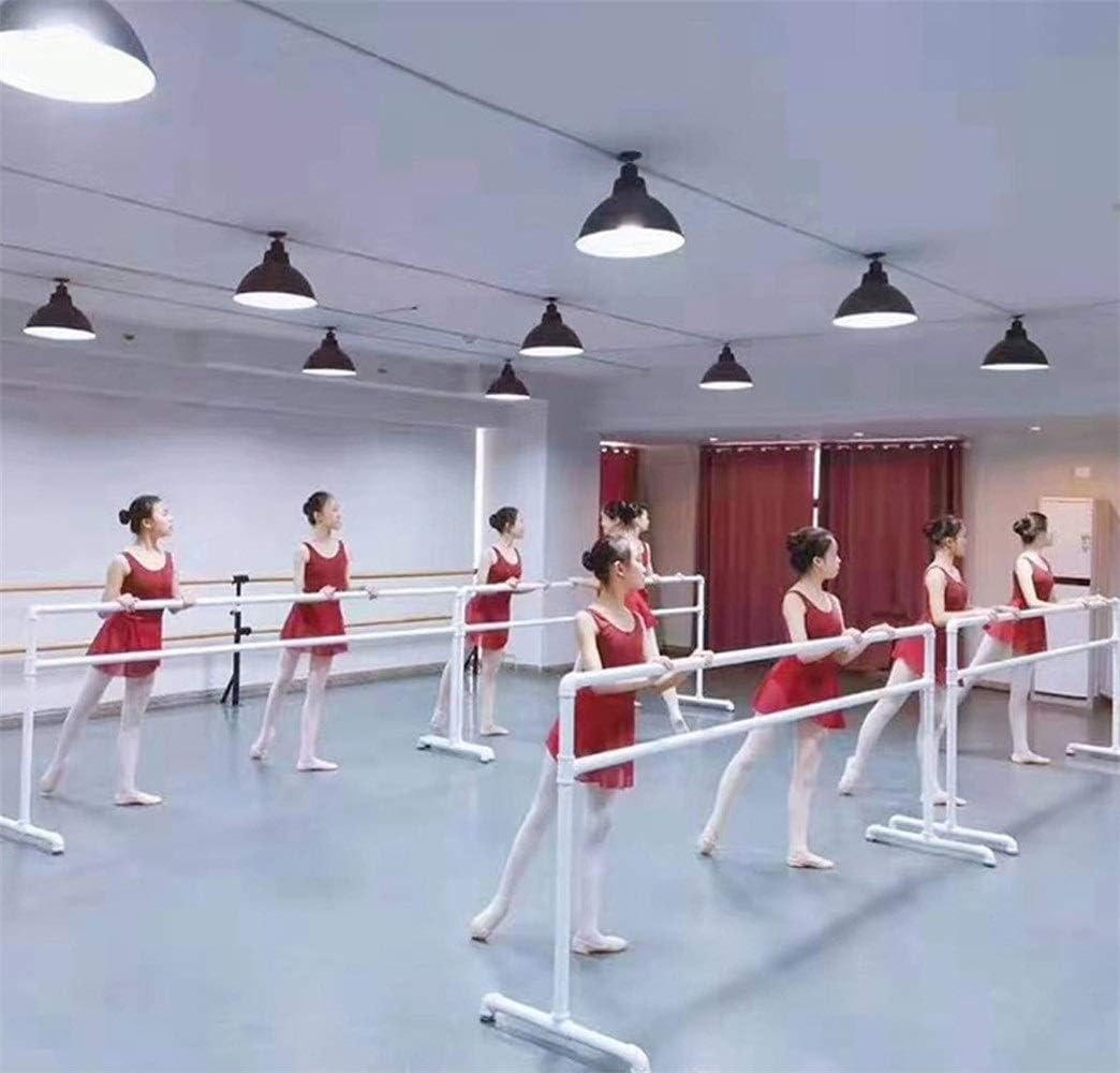 Ballet Barre,Mobile Dance Ballet Bar,Portable 1M Fitness Practise Dance Ballet Barre for Home (Size : Double Layer) ()