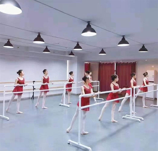 Ballet Barre,Mobile Dance Ballet Bar,Portable 1M Fitness Practise Dance Ballet Barre for Home (Size : Double Layer) ()