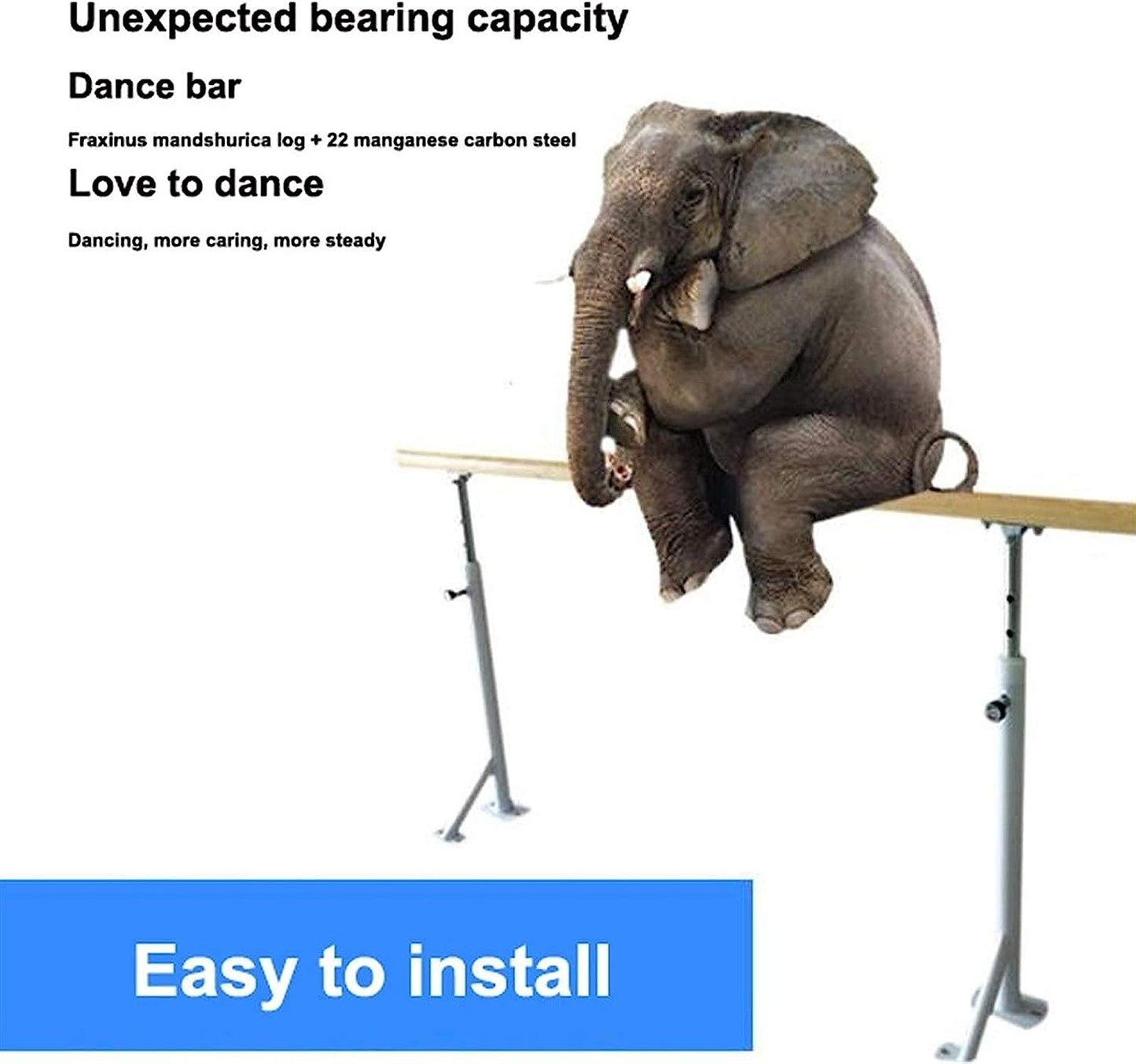 Ballet Barre Bar Portable Ballet Bar Mobile Dancing Stretching Ballet for Home School Adjustable Fitness Practise Ballet Barre with Non Slip Rubber Feet (Double Layer 1M)