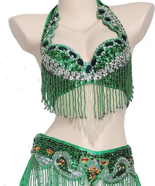 Belly Dance Costume Set for Women Belly Dance Bra and Belt Chiffon Dancing Skirts Professional Outfit 3pcs